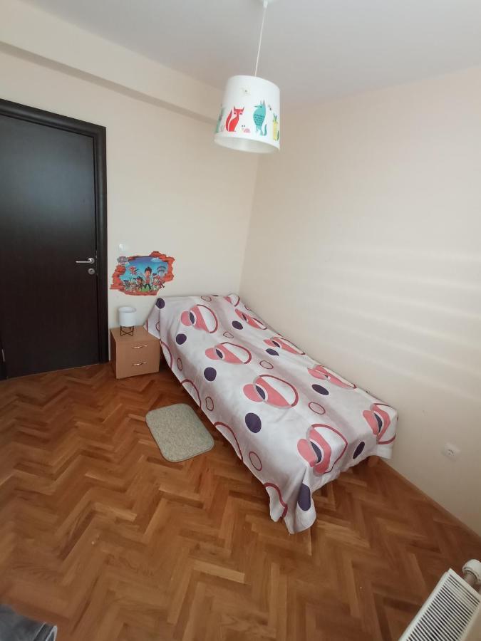 Apartment Stankovic *