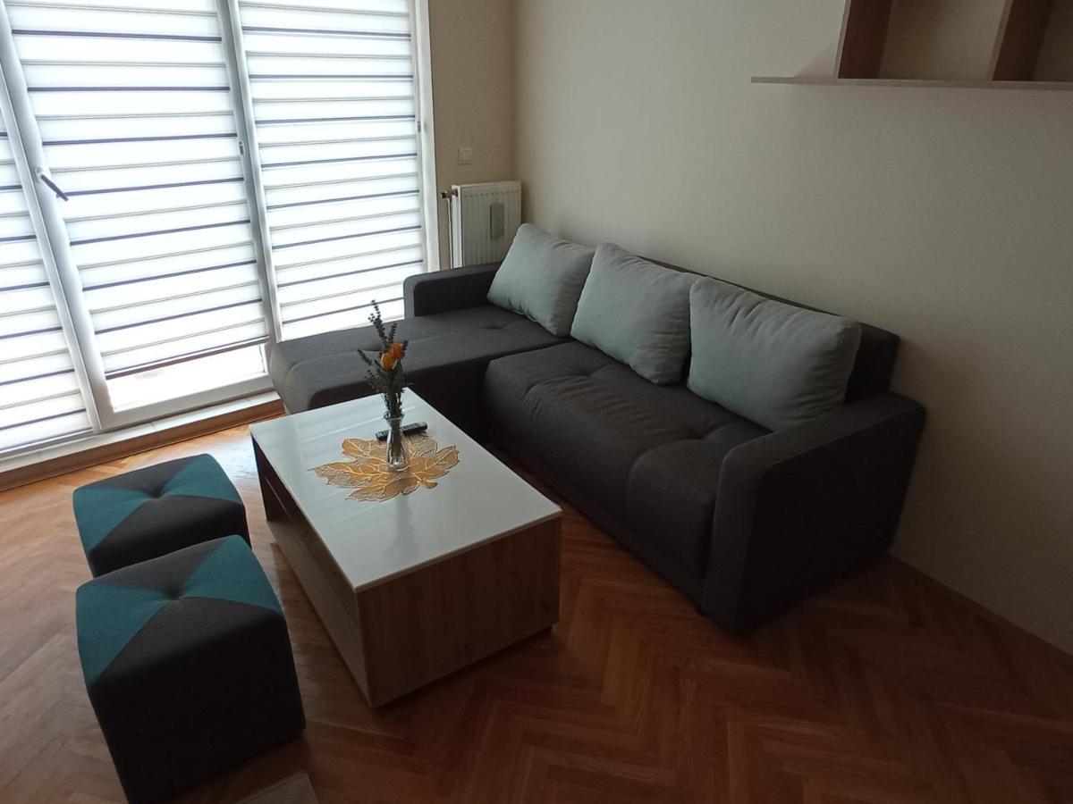 Apartment Stankovic *