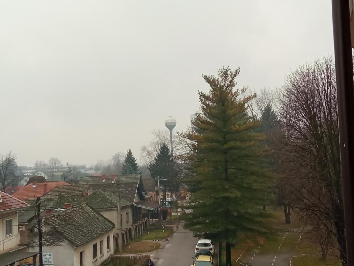 Stankovic Veliko Gradiste